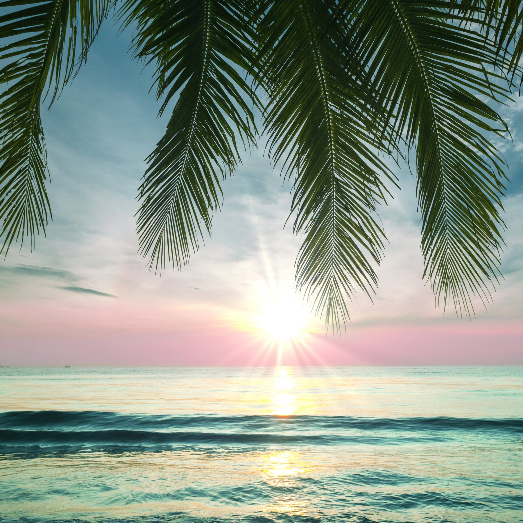 Coffret Savon Sieste Tropicale