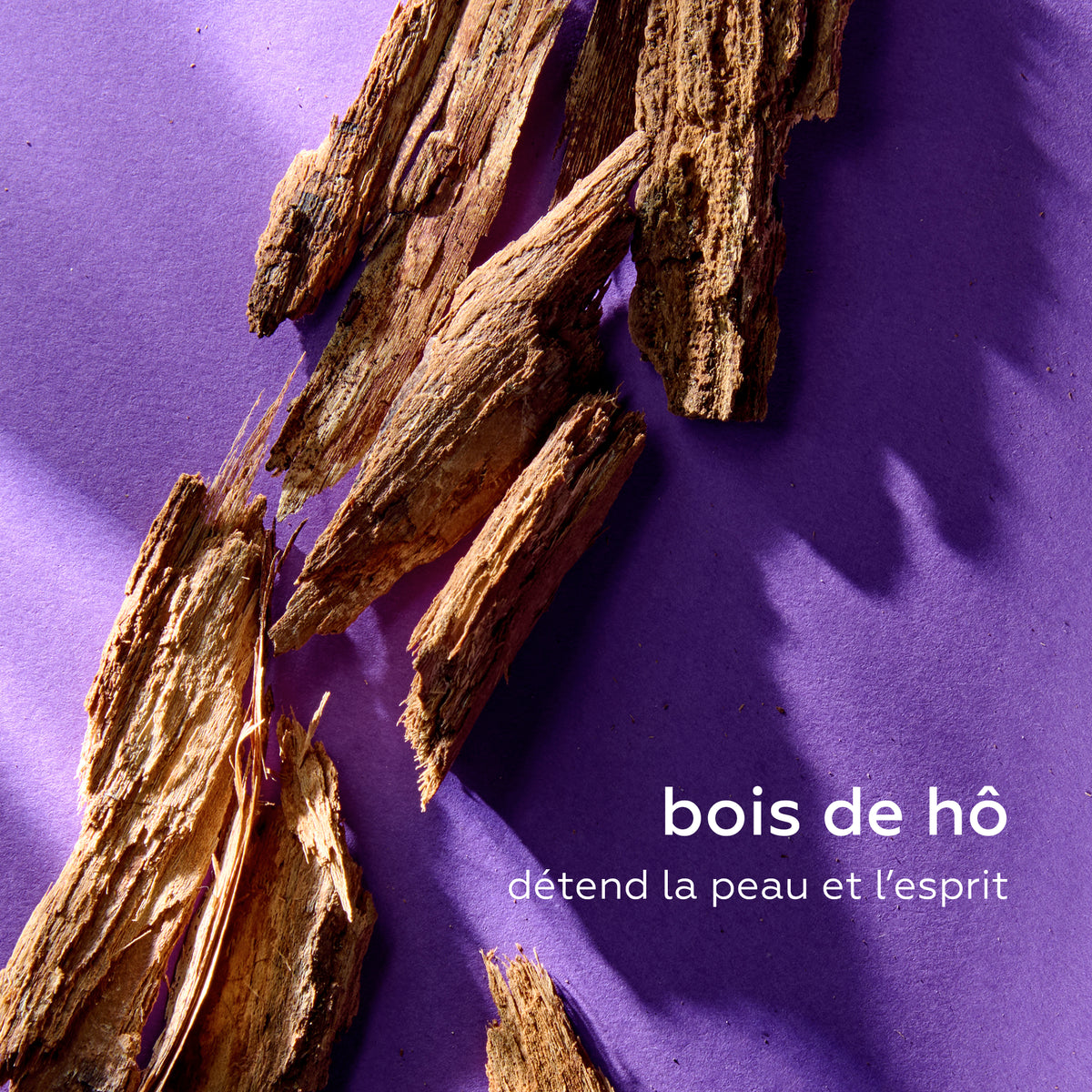 Éclats de bois de hô disposés sur un fond violet. En bas à droite, on lit le texte :
« bois de hô, détend la peau et l’esprit »
écrit en lettres blanches. L’ensemble évoque la naturalité, la relaxation et la profondeur olfactive caractéristiques de l’univers sensoriel de la collection Minuit Chéri.