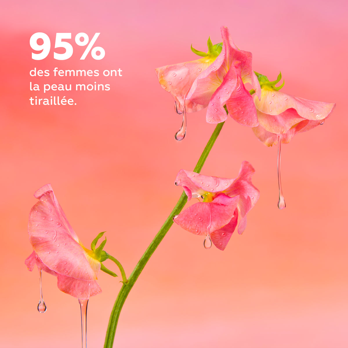 Fleurs délicates couvertes de gouttes d’huile évoquant la nutrition et la souplesse de la peau après application