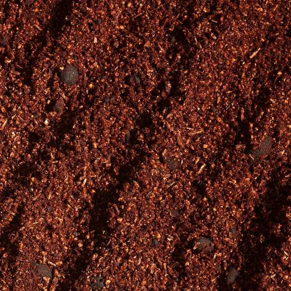 Texture de l'exfoliant en poudre tropic