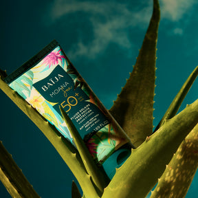 Tube de crème solaire Baïja Moana Sun SPF 50+ en gros plan, posé en biais au milieu de grandes feuilles d’aloe vera. Fond bleu-vert avec lumière dramatique et ombres marquées, ambiance tropicale.