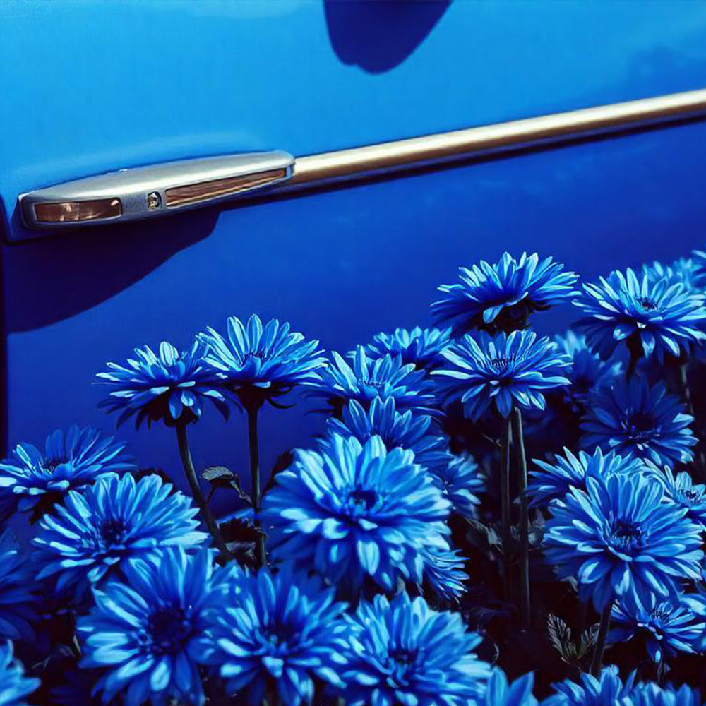 Voiture vintage bordant un champ de fleurs bleues,  mood représentant la collection "blue Ginger". 