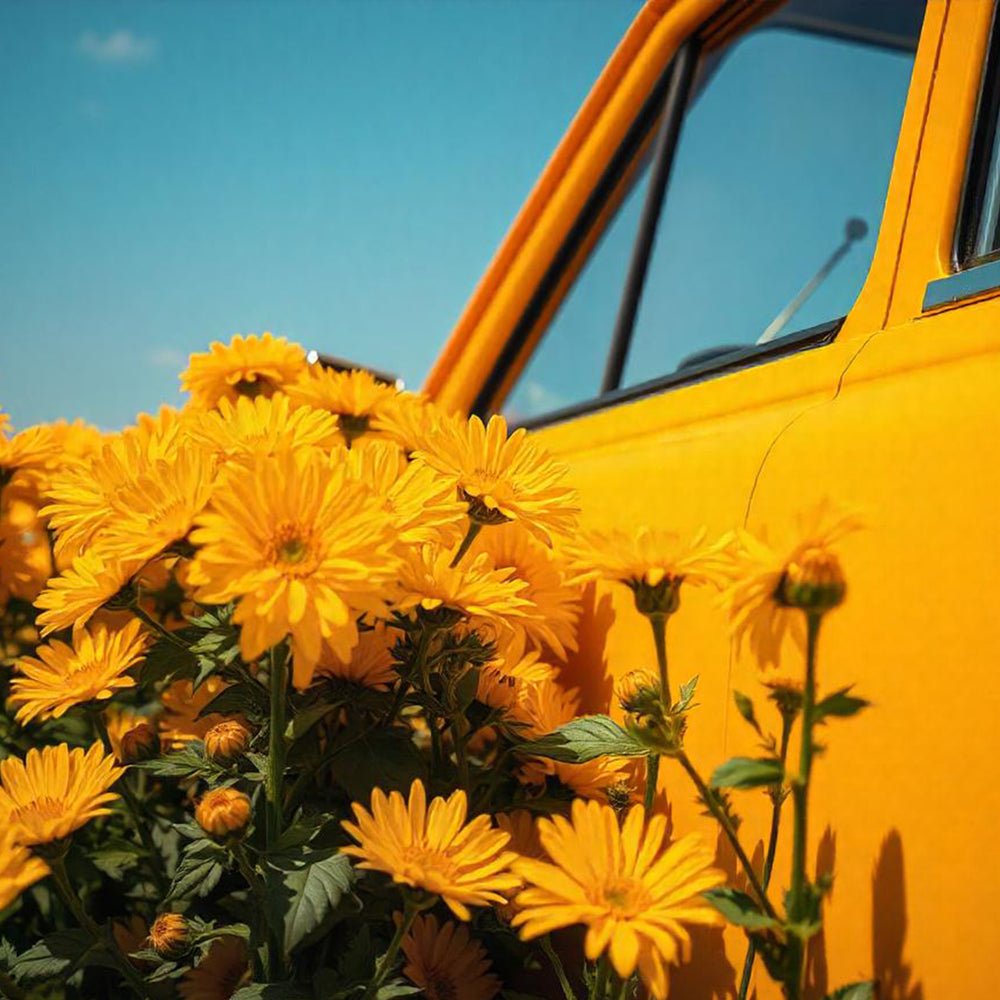 Voiture jaune vintage entourée de marguerites dorées sous ciel bleu, mood représentant la collection "indian Sunset". 

